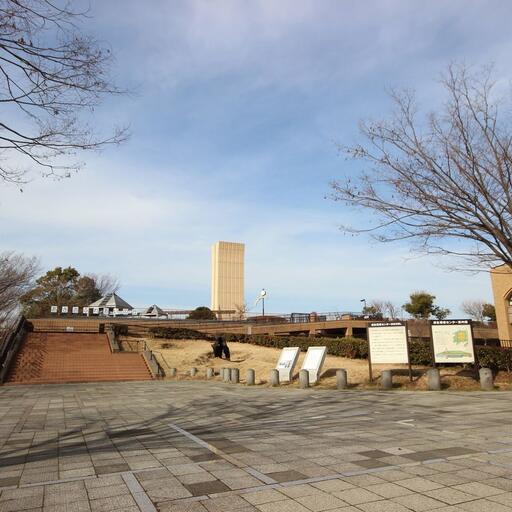 「あさおふれあい広場・ふれあいの遊歩道」大きなお庭気分を満喫 休日は家族でノンビリお出かけください。