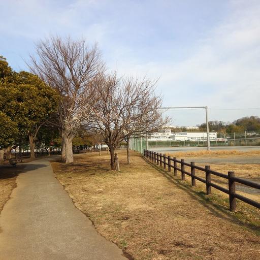「あさおふれあい広場・ふれあいの遊歩道」大きなお庭気分を満喫 休日は家族でノンビリお出かけください。