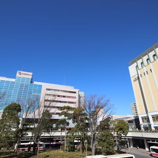 新百合ヶ丘駅周辺 サンパレス池田