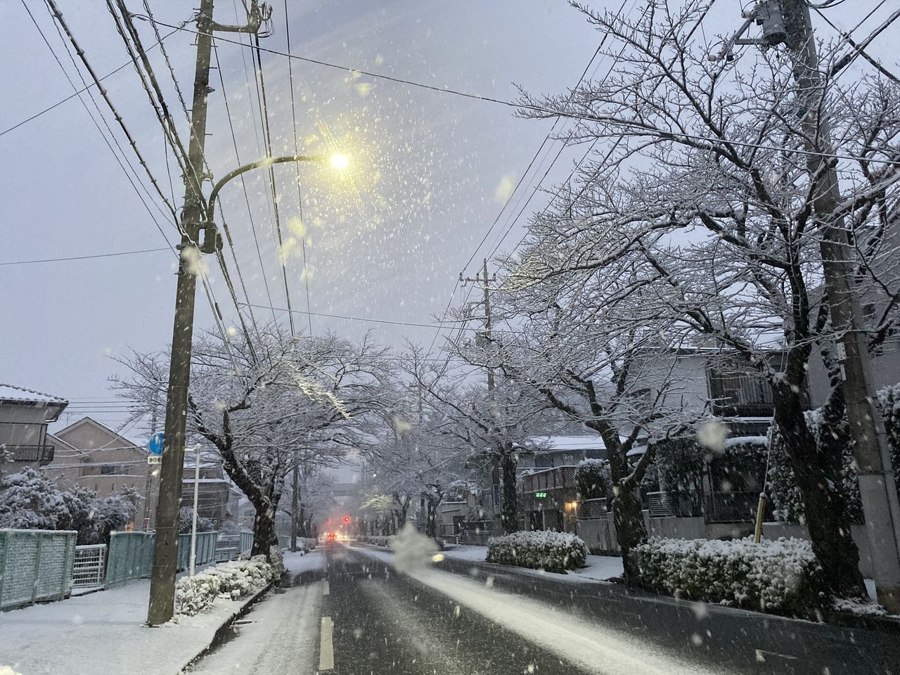 いきなりの雪